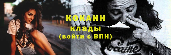 спайс Няндома