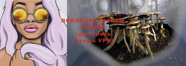 спайс Няндома