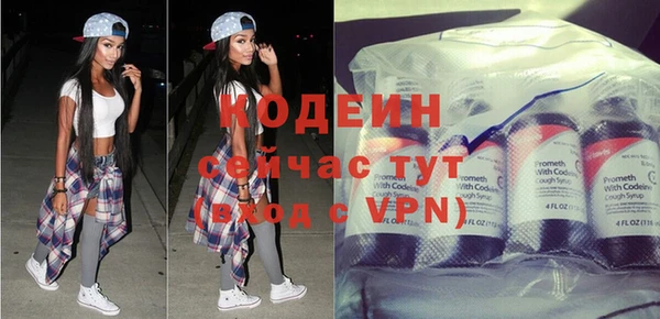 спайс Няндома