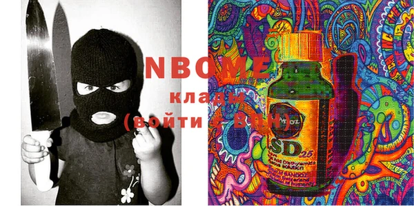 спайс Няндома