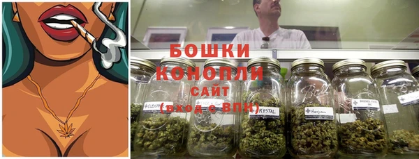 спайс Няндома