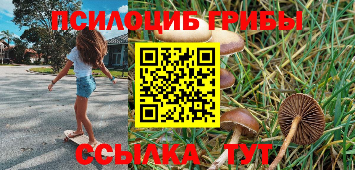 Карачаевск  Псилоцибиновые грибы мицелий  Вход с VPN 