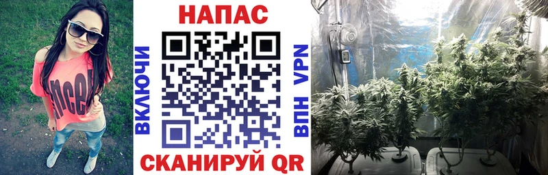 MEGA ТОР  Карачаевск  Шишки марихуана OG Kush 